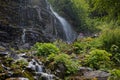 Waterfall and rocks in the forest Royalty Free Stock Photo