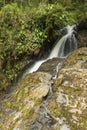 Waterfall among the rocks in the forest vertical Royalty Free Stock Photo