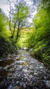 Waterfall between rocks in a green forest