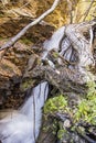 Waterfall rocky mountains tree root
