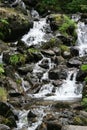 A waterfall is running in a forest near La Bourboule (France) Royalty Free Stock Photo