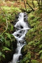 A Waterfall running through woodland