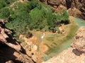 Waterfall's pool, Arizona Royalty Free Stock Photo