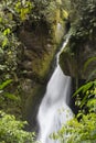 Waterfall Savegre River, San Gerardo de Dota, Costa Rica