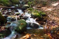 Waterfall scene