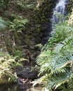 Waterfall Scenery Stock Photos. Water Stream. Forest Stream Royalty Free Stock Photo