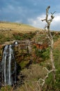Waterfall Scenic Landscape