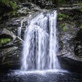 Waterfall in Scottish woodland