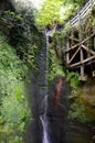 Shanklin Chine, Isle of Wight Royalty Free Stock Photo