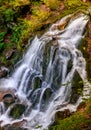 Waterfall Shypot in Carpathian forest Royalty Free Stock Photo