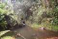 Waterfall sliding into a peaceful pool amidst a tropical rain forest