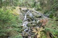 Waterfall at the small Arber lake, Bavaria, Germany