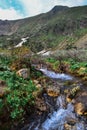 Waterfall, small blue mountain stream runs among colored yellow pink flowers, bushes in the mountains, splash, waterfall Royalty Free Stock Photo