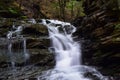 Waterfall on a small Native Brook Trout Stream. Royalty Free Stock Photo