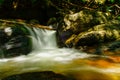 Waterfall of small size and siky liquid in the forests of mount Pidurutalagala Royalty Free Stock Photo