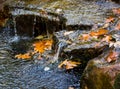 Autumn Leaves in Pretty Little Waterfall Royalty Free Stock Photo