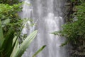 A waterfall with smooth silky falling water in a dense forest Royalty Free Stock Photo