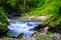 Waterfall at Soteska vintgar, Slovenia The Vintgar Gorge or Ble