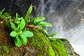 Waterfall South in thailand Royalty Free Stock Photo