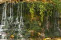 waterfall spring small stream out of the ground