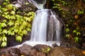 Waterfall steps and greenery