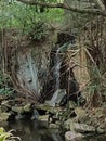 waterfall with stone in the Shady forest