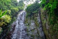 A waterfall with a stone wall in the background in the depths of the forest Royalty Free Stock Photo