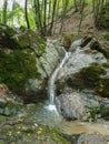 Waterfall stream in Cheile Borzesti, Cluj, Romania