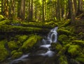 Waterfall and stream in Sol Duc area in Washington Royalty Free Stock Photo