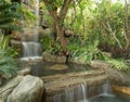 Waterfall stream at park Royalty Free Stock Photo