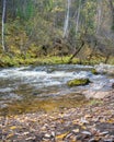 Waterfall stream on the stones of the autumn forest. Autumn forest waterfall stream. River stream in the mountains Royalty Free Stock Photo