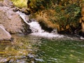 Waterfall. Summer. Love nature. Crystal clear wanterfall. Romania. Royalty Free Stock Photo