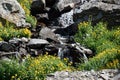 Waterfall with sunflowers in mountains