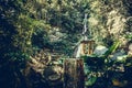 waterfall in surreal architecture,beautiful old castle, beautiful structures, jungle and waterfalls in the surreal botanical