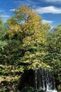 A waterfall surrounded by deciduous and evergreen trees on a beautiful fall day in Illinois Royalty Free Stock Photo