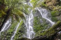 Waterfall surrounded by New Zealand native bush Royalty Free Stock Photo