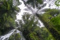 Waterfall surrounded by New Zealand native bush Royalty Free Stock Photo