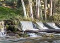 Waterfall surrounded by trunks Royalty Free Stock Photo