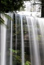Waterfall in Tasmania forest Royalty Free Stock Photo