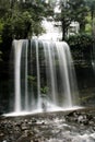 Waterfall in Tasmania forest Royalty Free Stock Photo