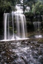 Waterfall in Tasmania forest Royalty Free Stock Photo