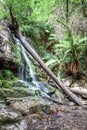 Waterfall Tasmania Royalty Free Stock Photo