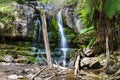 Waterfall Tasmania Royalty Free Stock Photo