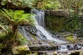 Waterfall Tasmania Royalty Free Stock Photo