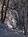 Waterfall Todtnauer WasserfÃÂ¤lle in snow-covered forest with frozen trees in winter season on sunny day near Todtnau. Royalty Free Stock Photo