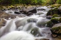 Waterfall in Tollymore Forest Park