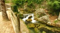 Waterfall Torrent the Garriga