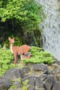 Waterfall and toy LEGO deer sculptures Royalty Free Stock Photo