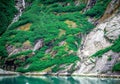 Waterfall in Tracy Arm Fjord, Alaska Royalty Free Stock Photo