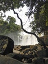 Waterfall tree nature jungle indonesia sunny